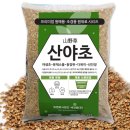 세경