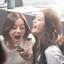 꽃자매