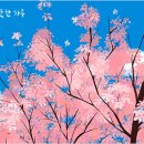 잔잔해 이미지