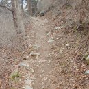 장군산길 이미지