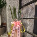 뚜레쥬르영주 이미지