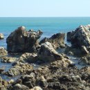 주전초교 이미지