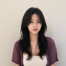 보그헤어 목동점
