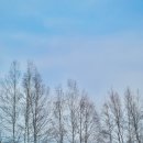 헬멧 조형물 | 홋카이도 스노우래프팅 체험 후기 | 비에이 패치워크로드 시키사이노오카