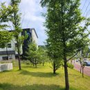 뉴마왕핫도그 - 용산구 청파로45길 32 | 뉴마왕핫도그