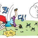 경심이네 이미지