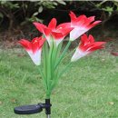 태양스토어 이미지