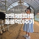 정동농장 | 세종 정동체험마을에서 다양한 동물먹이주기 체험 하고왔어요