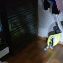 앤툴