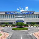 346 데일리한국