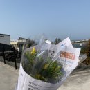 제이제이농장 이미지