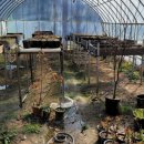 안이하우스 이미지