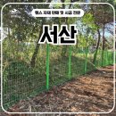 199 | 서산휀스 - 정확한 경계라인 잡아낸 메쉬 시공 현장