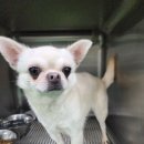 칠금초등학교 이미지