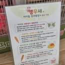 리프패럿여주점