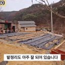 G1160 이미지