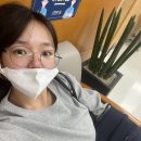 링구얼라인 이미지