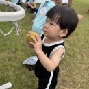 예일농장 이미지