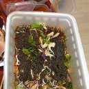 깐족쟁이 선산점 | 선산 족발 맛집, 깐족쟁이 간단 솔직 후기 !!