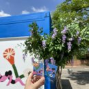 등나무 운동장 이미지