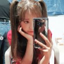 찬미패션 스포츠서울