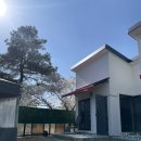 스테이지 이플 이미지