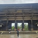 광려아이편한어린이공원 | 아이와 나라 여행｜사슴공원부터 도다이지 대불전까지 버스투어 후기