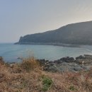 뉴추자아일랜드 이미지