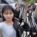 고포잇 다이브센터 이미지