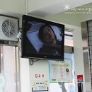 크린토피아 코인워시(송파마천공원점) 이미지