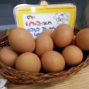 가양도서관 이미지