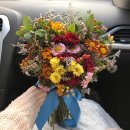 광주 가을 셀프웨딩 스냅 [사월의레나] 후기1