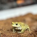 동탄대로21가길 이미지