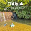 금화애견 이미지