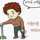 애터미 터마신 MSM/ 무릎관절/강황성분/관절영양제