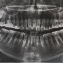 서울수치과의원 이미지