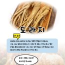 에스팜