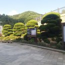 천보 이미지
