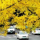 삼층피시방 이미지