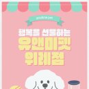 유앤미펫 강아지분양 고양이분양 시흥점 이미지