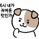 족발마을김족장
