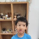 다해도예 이미지