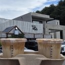 옥이커피 | [강릉] 갤러리밥스 초옥이커피 후기