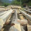 예리마을회관 이미지