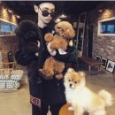 샤이니독 이미지