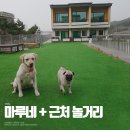 마루네 애견사랑 네이버블로그