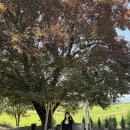 경주오릉한옥스테이 이미지