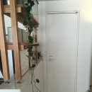 정스디저트 | 연남동 카페 추천 │ 파티세리 레정스 : 피스타치오 타르트 후기, 포장예약 및 보관 섭취안내, 추천메뉴