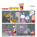 낭만돼지 - 동대문구 장한로28길 44 | 낭만돼지
