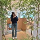 Daily Blog__275(카페 트리팔렛)